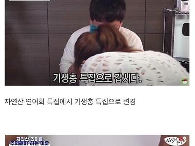 양식 연어를 먹어야 하는 이유