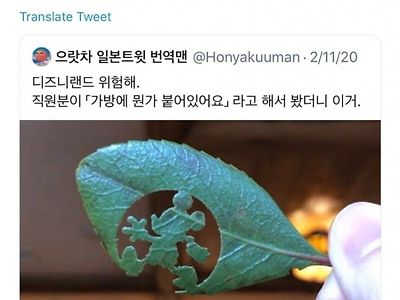 한국인들만 다르게 해석하는 디즈니랜드 깜짝선물