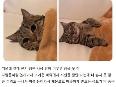 몸에 열이 많은 사람들 특징