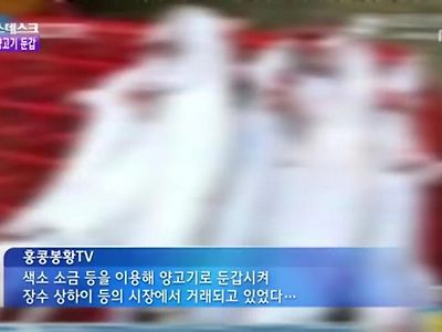 중국의 양꼬치 재료 ㄷㄷ