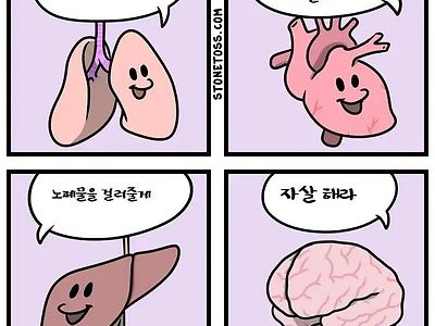 몸속의 장기들이 하는 일