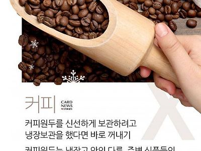 의외로 냉장고에 넣으면 안 되는 음식