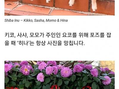 분위기 깨는 애