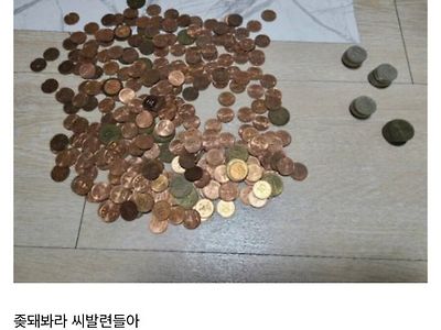 이 시각 광기의 앱등이