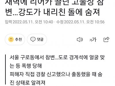 오늘자 구로구 공원 폭행 사망사건