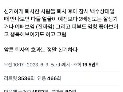 퇴사의 효능