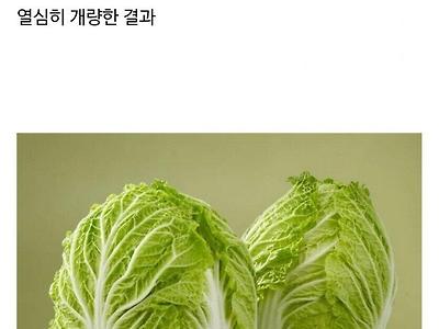 농학자 우장춘 박사의 업적.jpg