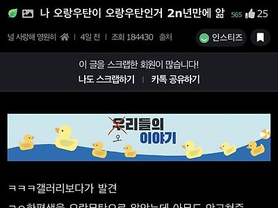 오랑우탄이 오랑우탄인거 2n년만에 앎 ㄷㄷ...jpg