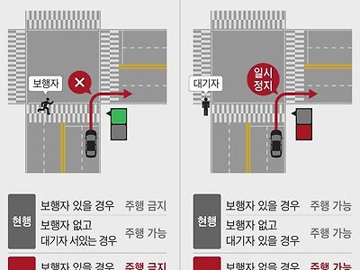 7월부터 바뀌는 횡단보도 운행기준