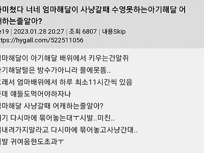 엄마 해달이 아기해달 두고 사냥나갈 때..jpg