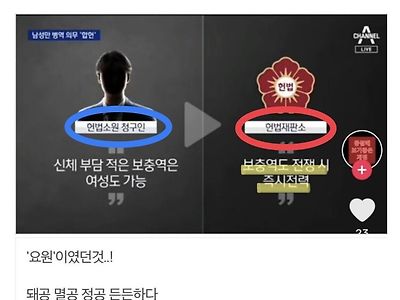 헌법재판소: "사회복무요원도 전투시 전투원으로서 기능"