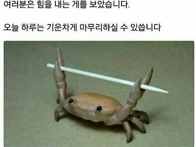 님들은 힘을 내는 게.