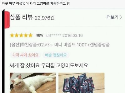 고양이 키우는 사람 특