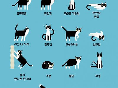 고양이 언어 해석