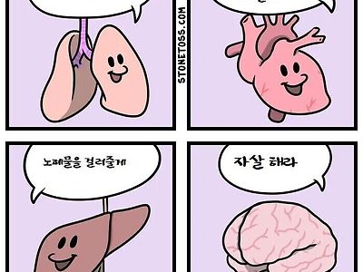 신체 장기들의 기능