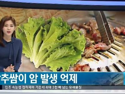 고기+상추 크로스!