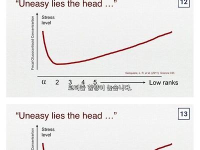 과학자가 알려주는 진짜 알파메일