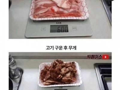 고기의 충격적인 진실