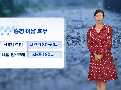 [날씨] 충청이남 '호우경보'…최고 350mm 이상 더 내린다