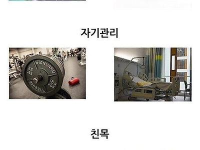 바이크갤 영구차단짤