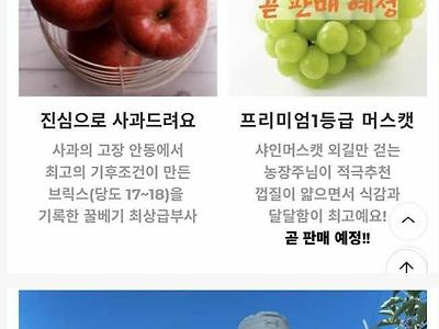 신정환 근황