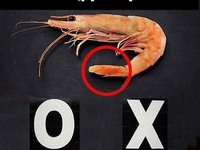 탕수육 부먹 찍먹 다음으로 취향이 갈리는 음식