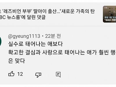 동성부부 출산소식에 달린 두 덧글