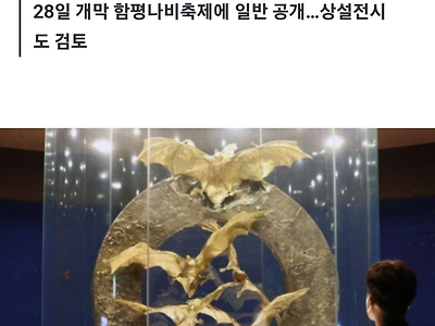 헛돈 쓴거중에 제일 잘된 케이스