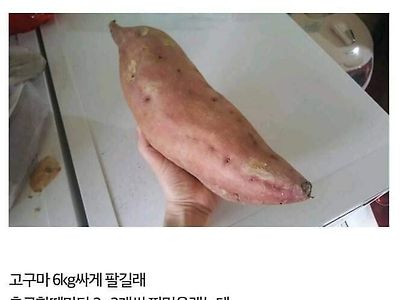고구마를 6kg 단위로 판 이유