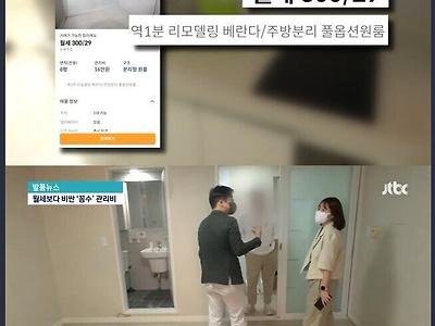 서울 월세살이 근황1