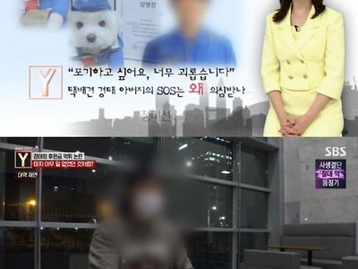 어제자 궁금한이야기Y '택배견 경태 사건' 초간단 요약