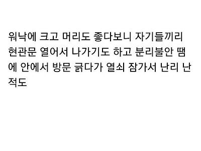 대형견 4마리를 오피스텔에서 키우는걸 본 강형욱