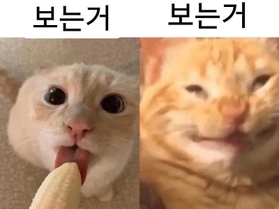 남녀 다른 시각 차이 ㅋㅋㅋㅋㅋㅋ.jpg