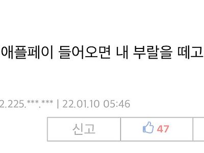 댕댕이의 암벽등반