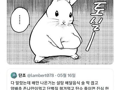 뱃살 해결 방법