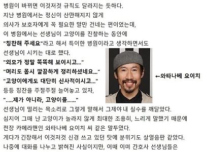 고양이 때문에 동물병원 갔다가 울 뻔한 썰