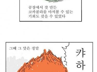 갓 만든 코카콜라의 충격적인 진실