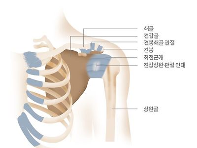 뼈 인대등 다쳐본 사람은 공감하는것