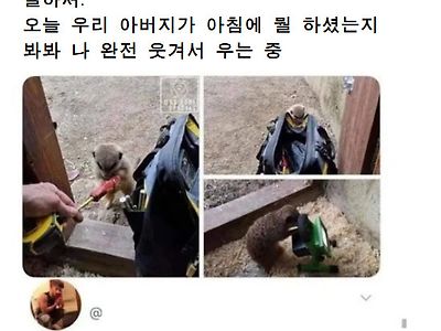 우리 아버지는 동물원 직원