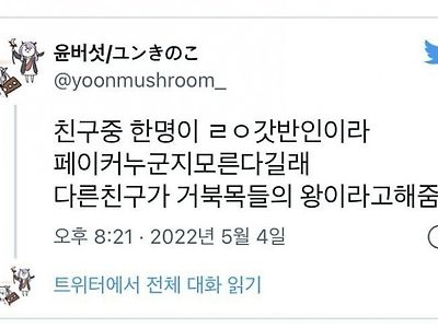 거북목들의 왕 페이커