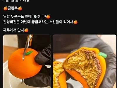 귤쫀쿠