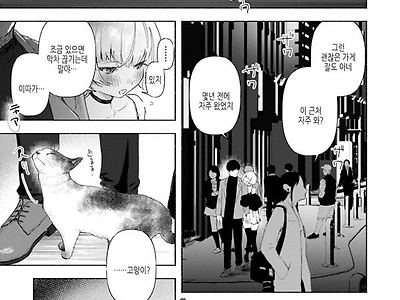 들고양이
