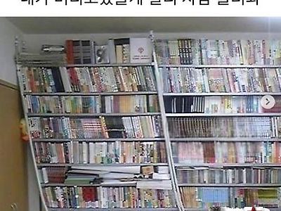 보고있지말고 빨리 사람불러오라고