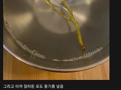 식물갤러의 포도 번식 후기