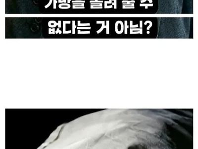변호사가 살렸네