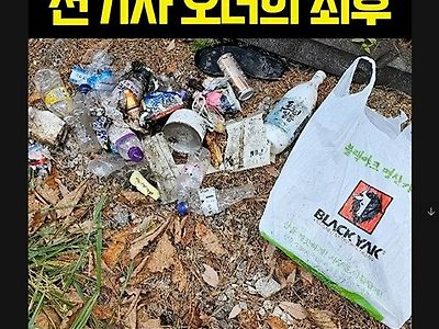 캣맘하고 동급