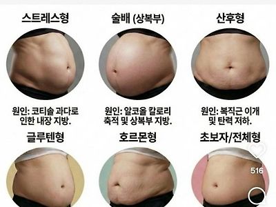 당신의 타입은