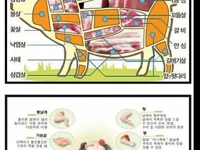 다 잘먹는 한국인들