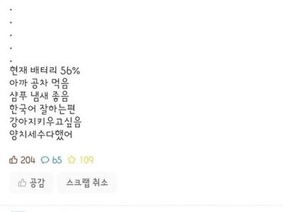 으이구~ 잘들 논다