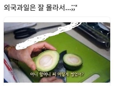 영~차!